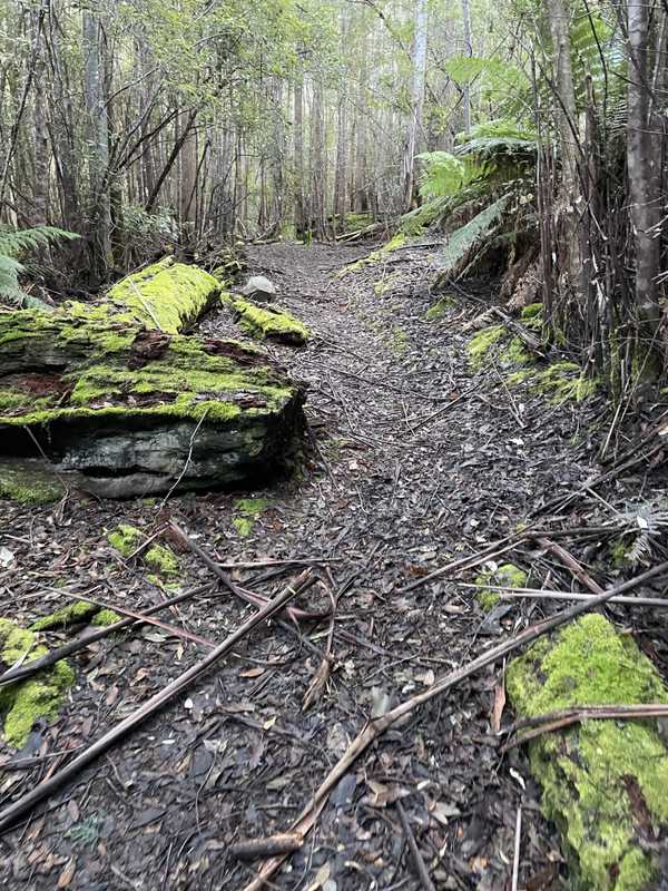 Image from Mountain River Trail to Trestle Mountain