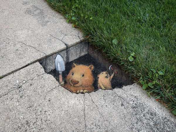 Image from David Zinn