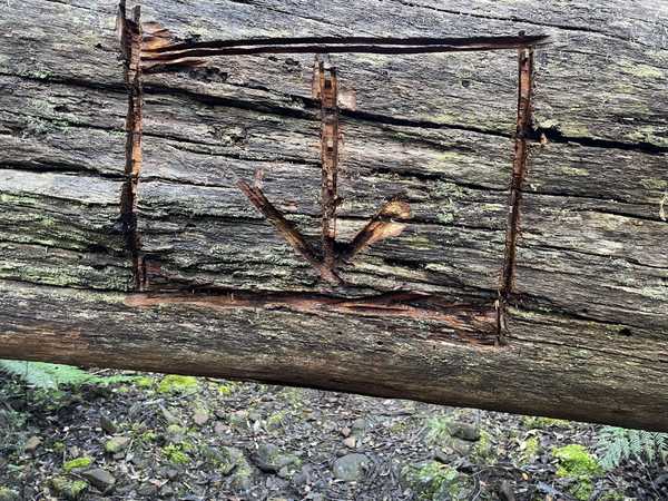 Image from Mountain River Trail to Trestle Mountain