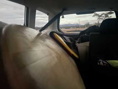 Surf board in the back of a car