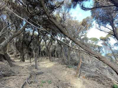 Image from Cape Raoul