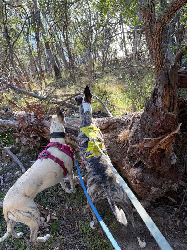 Image from November 2025