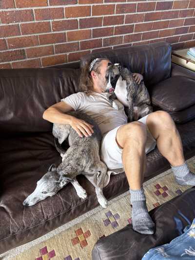 One dog chilling, another trying to eat my face
