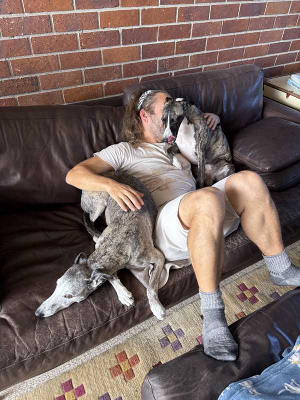 One dog chilling, another trying to eat my face