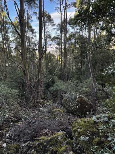 Image from Mountain River Trail to Trestle Mountain