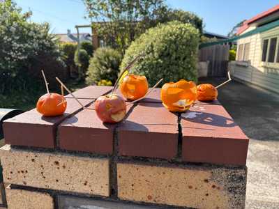 Image from November 2025