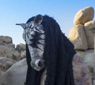 Person wearing a horse mask