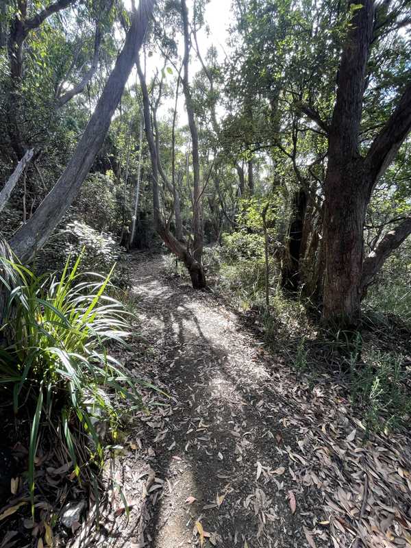 Image from Cape Raoul