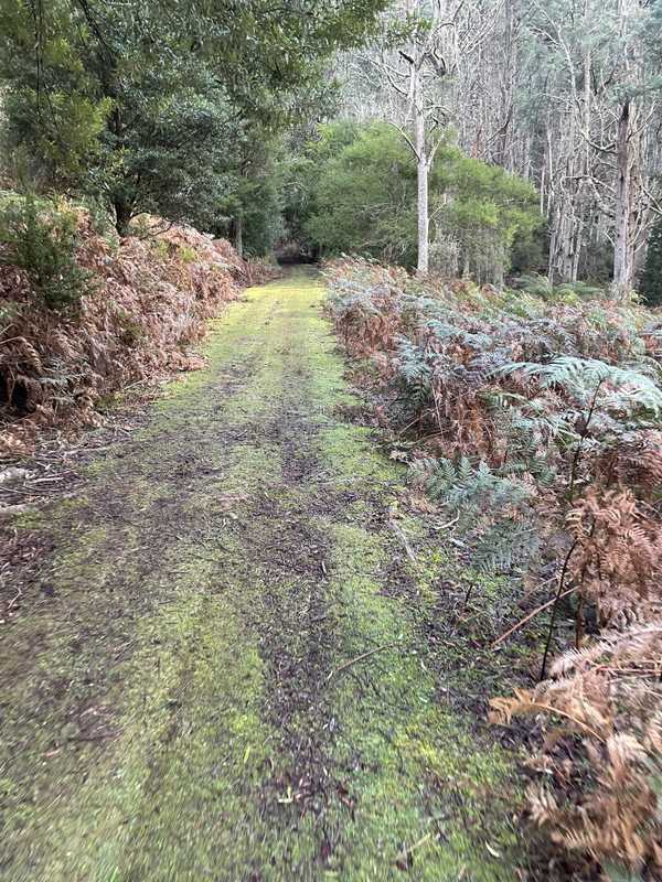 Image from Mountain River Trail to Trestle Mountain