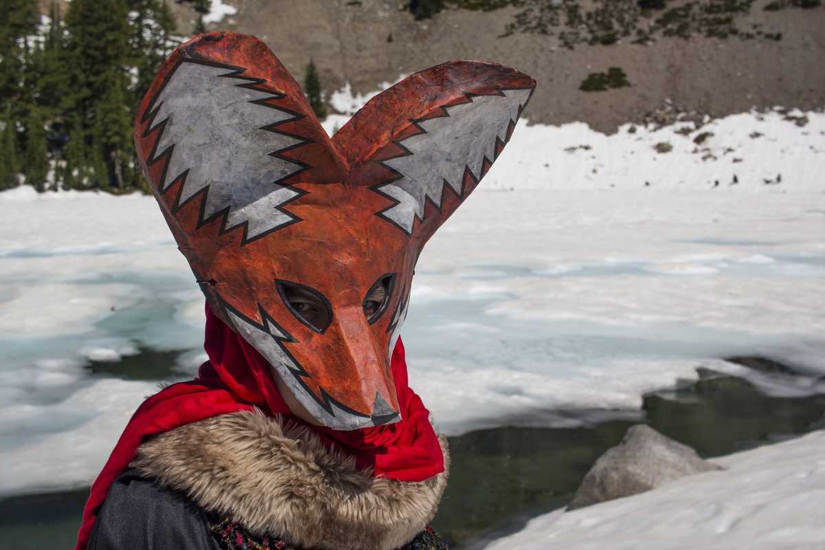 Person wearing a fox mask