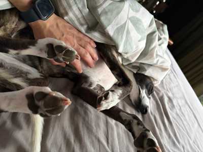 Image from November 2025