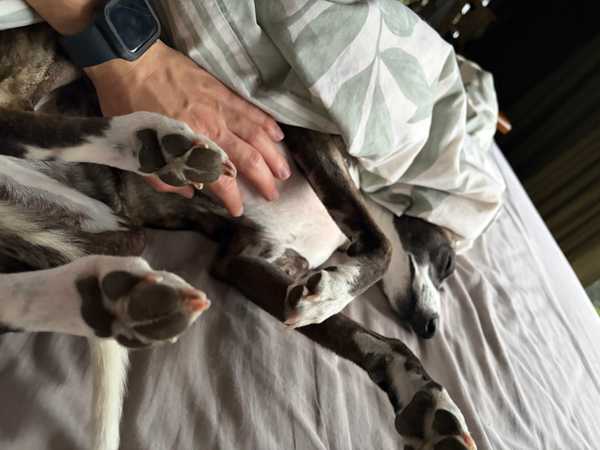 Image from November 2025