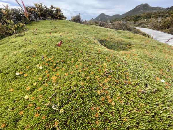 Image from Hartz Peak