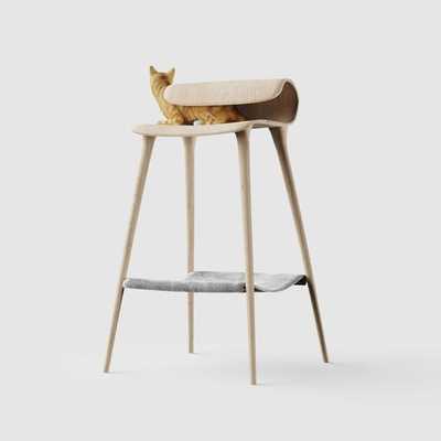 A cat in the recess of a stool