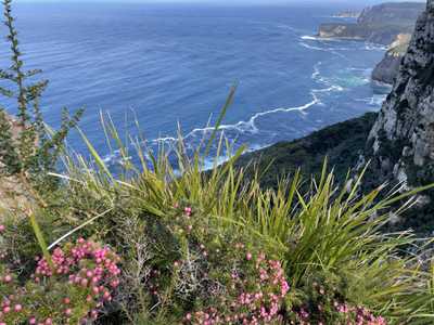 Image from Cape Raoul