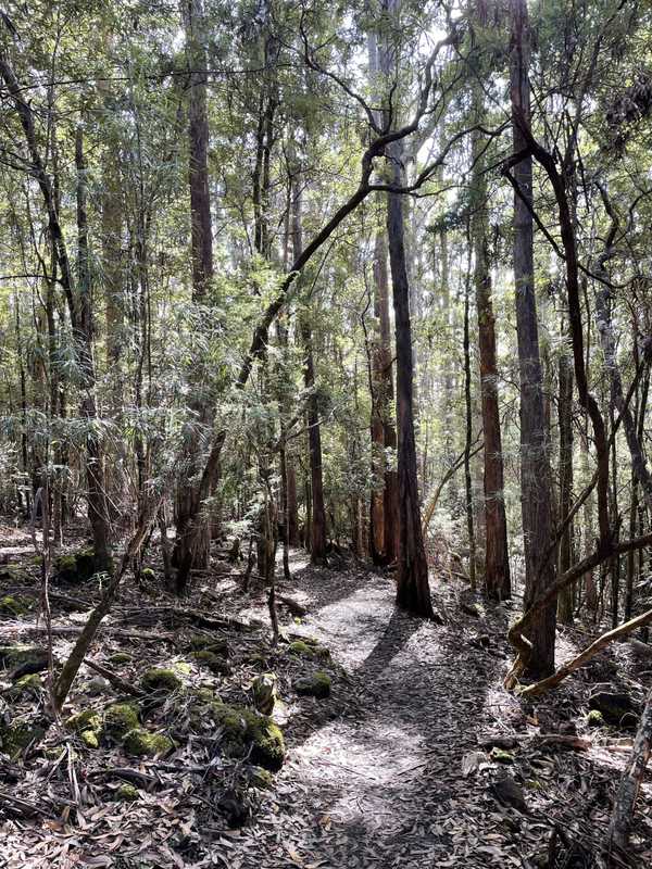 Image from Cape Raoul