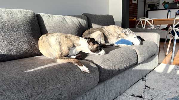 Image from November 2025