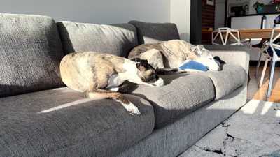 Image from November 2025