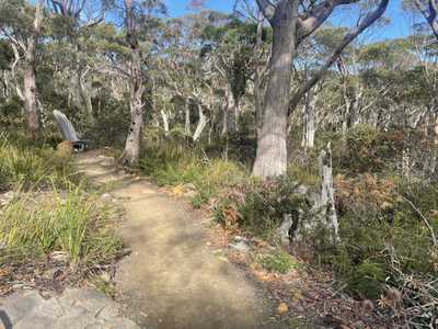 Image from Cape Raoul