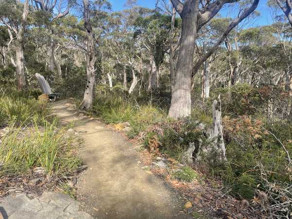 Image from Cape Raoul