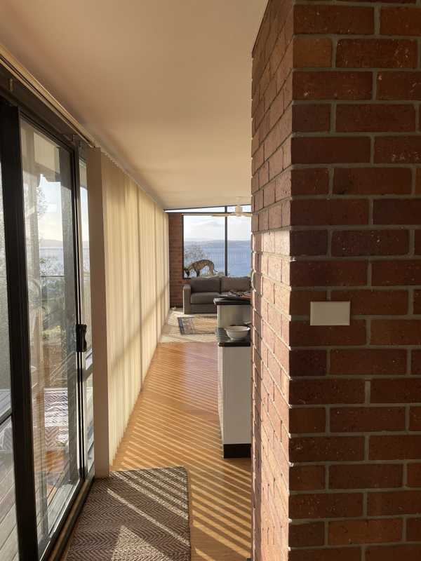 Looking down the inside of a house, with a dog in the distance