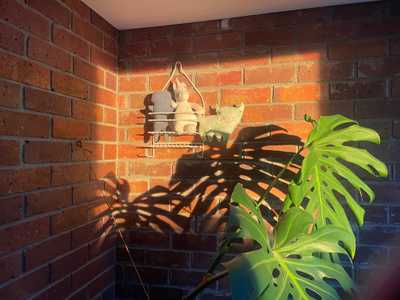 Stuffed animals hanging on a wall behind a monstera