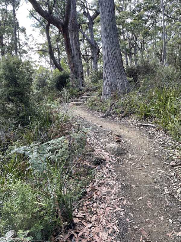 Image from Cape Raoul