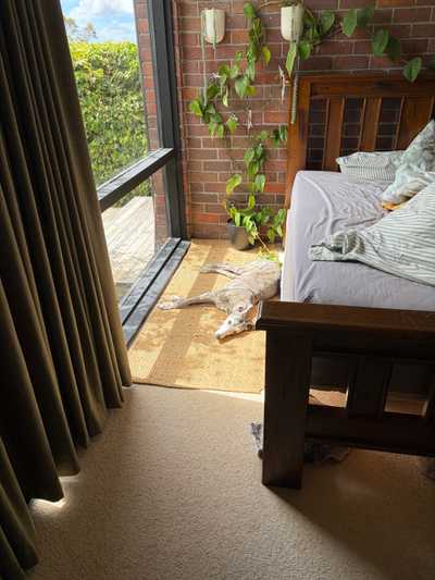 Image from November 2025