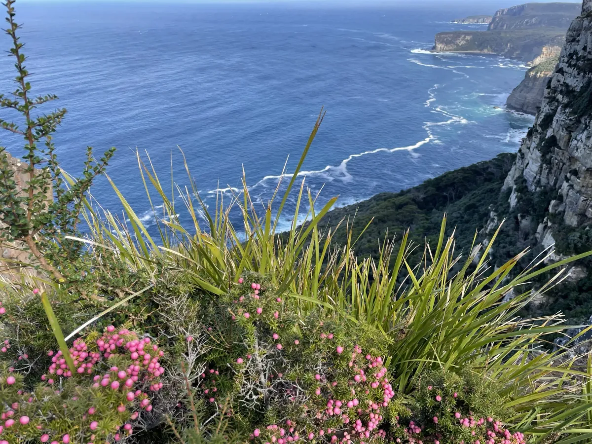 Cape Raoul
