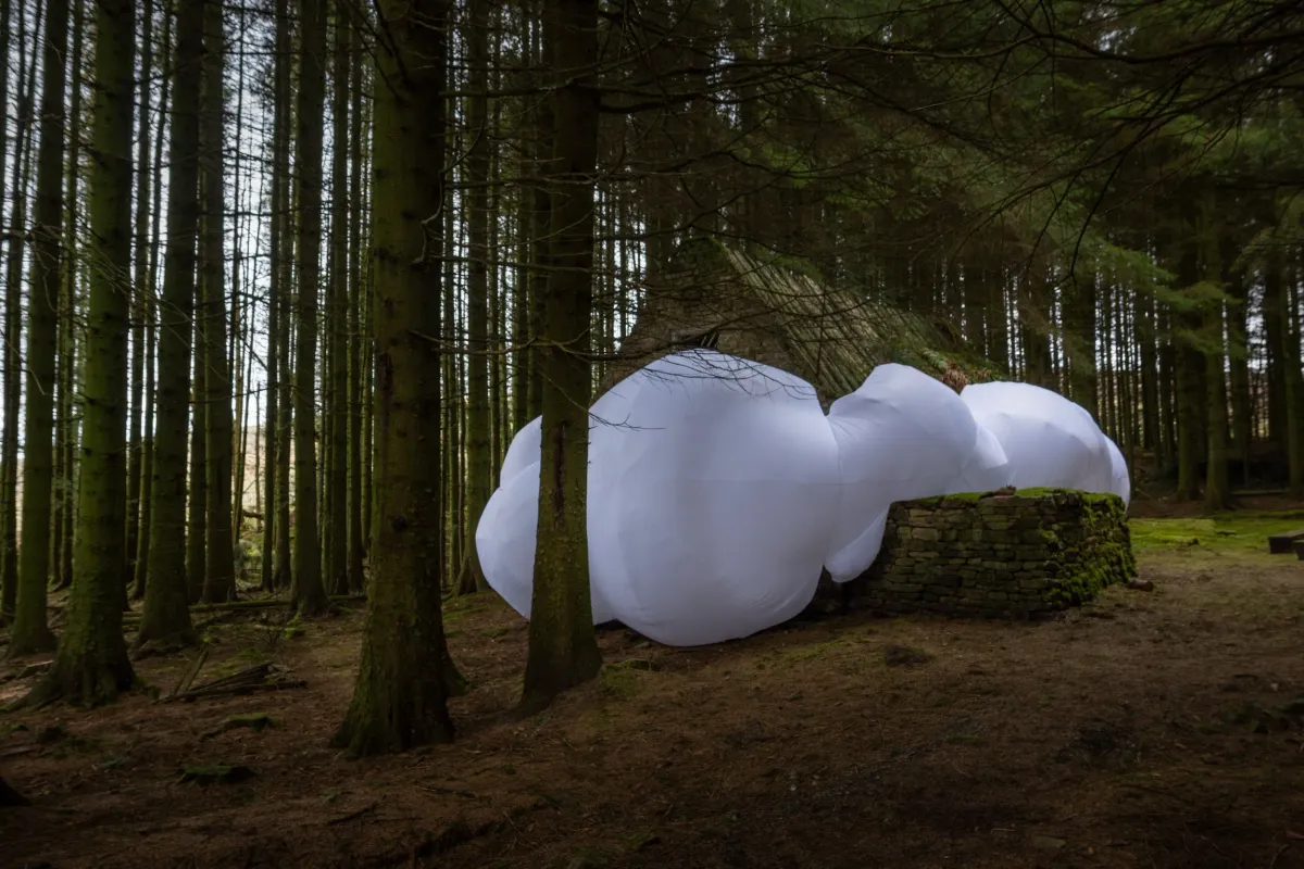 Steve Messam