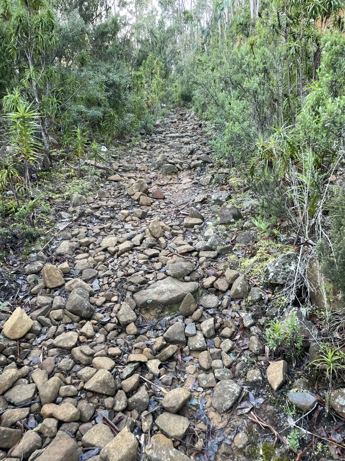 Mountain River Trail to Trestle Mountain