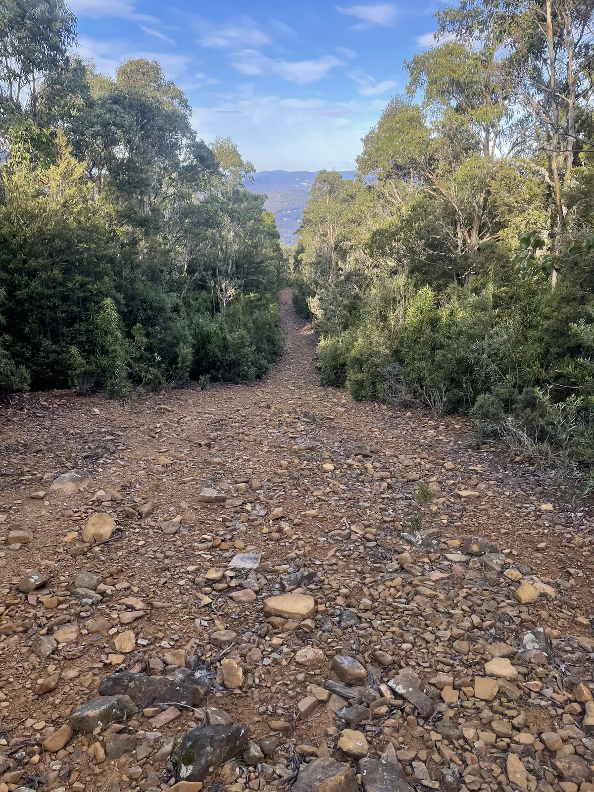 Mountain River Trail to Trestle Mountain