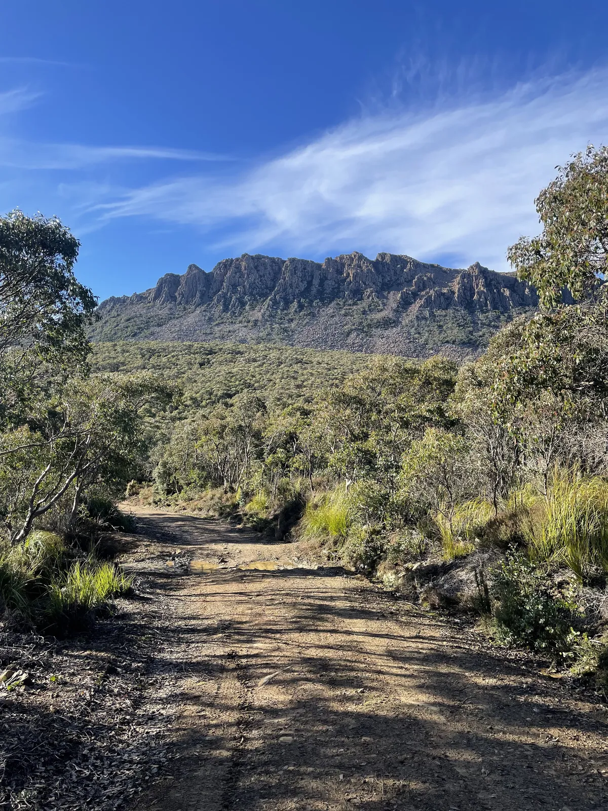 Mountain River Trail to Trestle Mountain