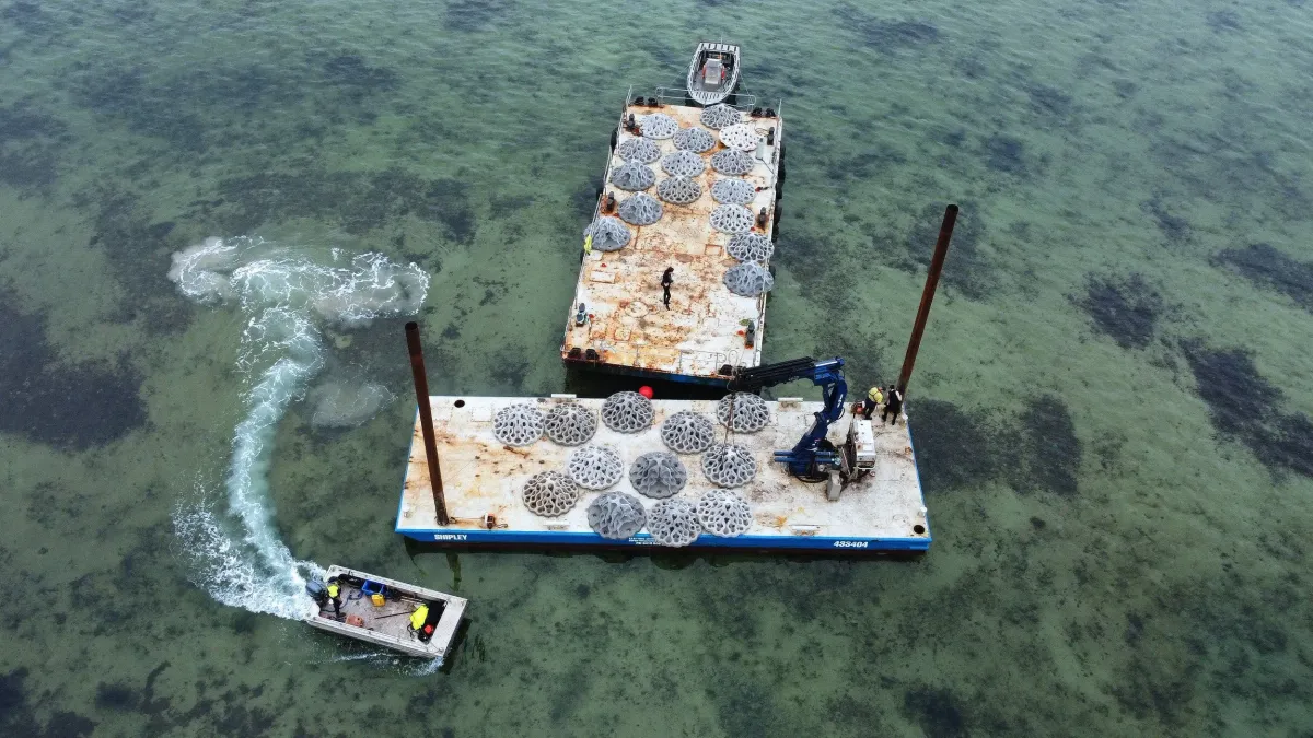 Reef Design Lab