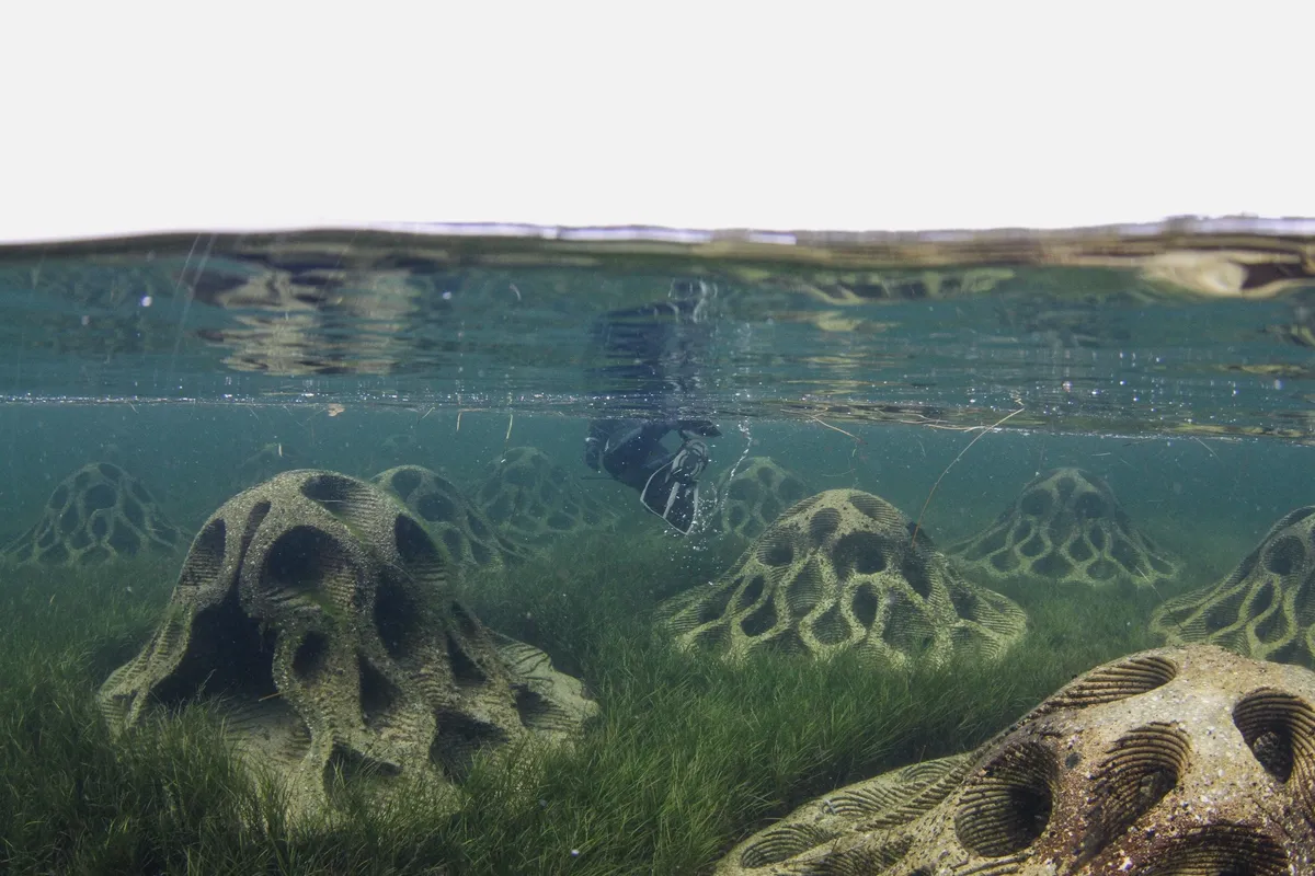 Reef Design Lab