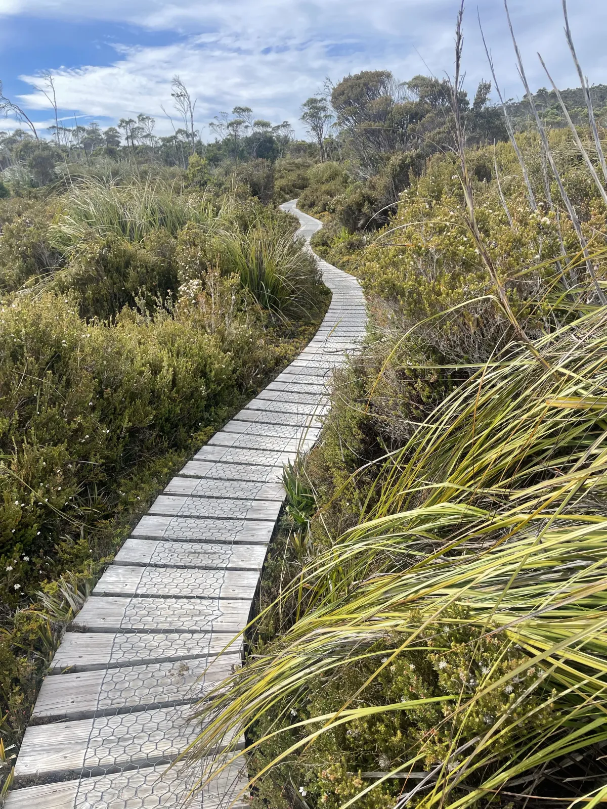 Hartz Peak