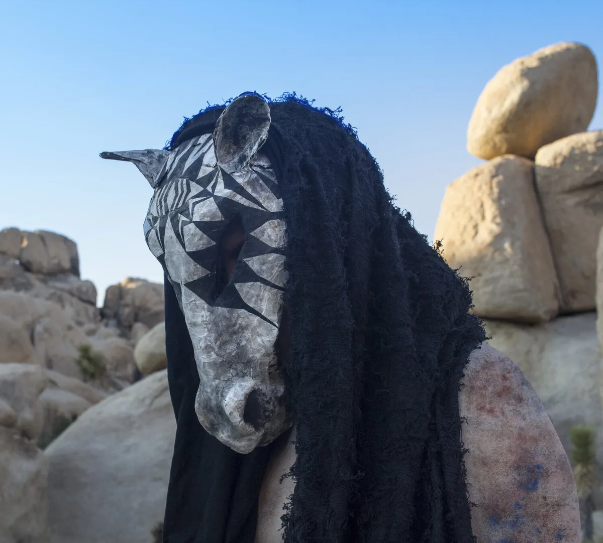 Person wearing a horse mask