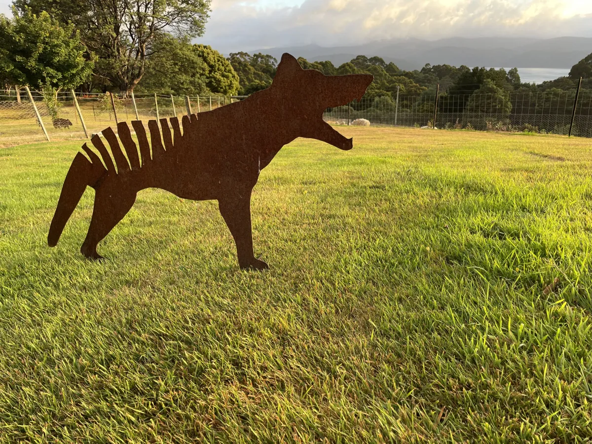Tasmanian Tiger sculpture in a field