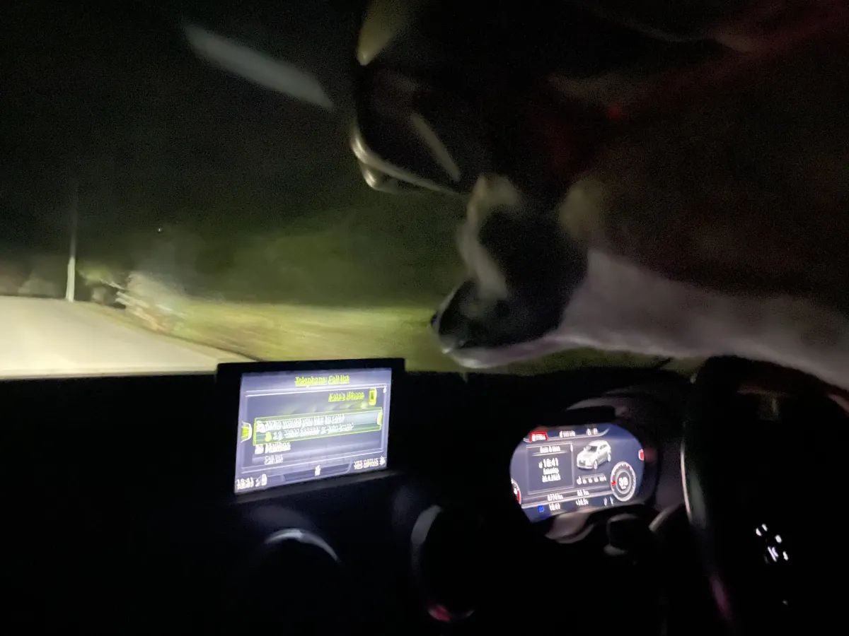 Fast girl