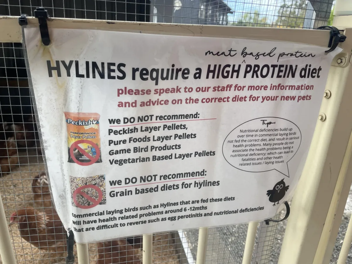 Hyline information sheet