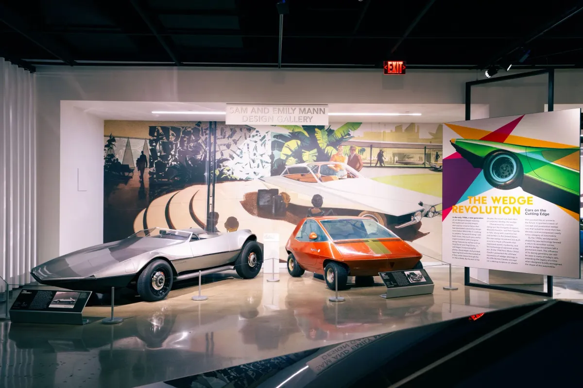 Photo of the exhibition The Wedge Revolution