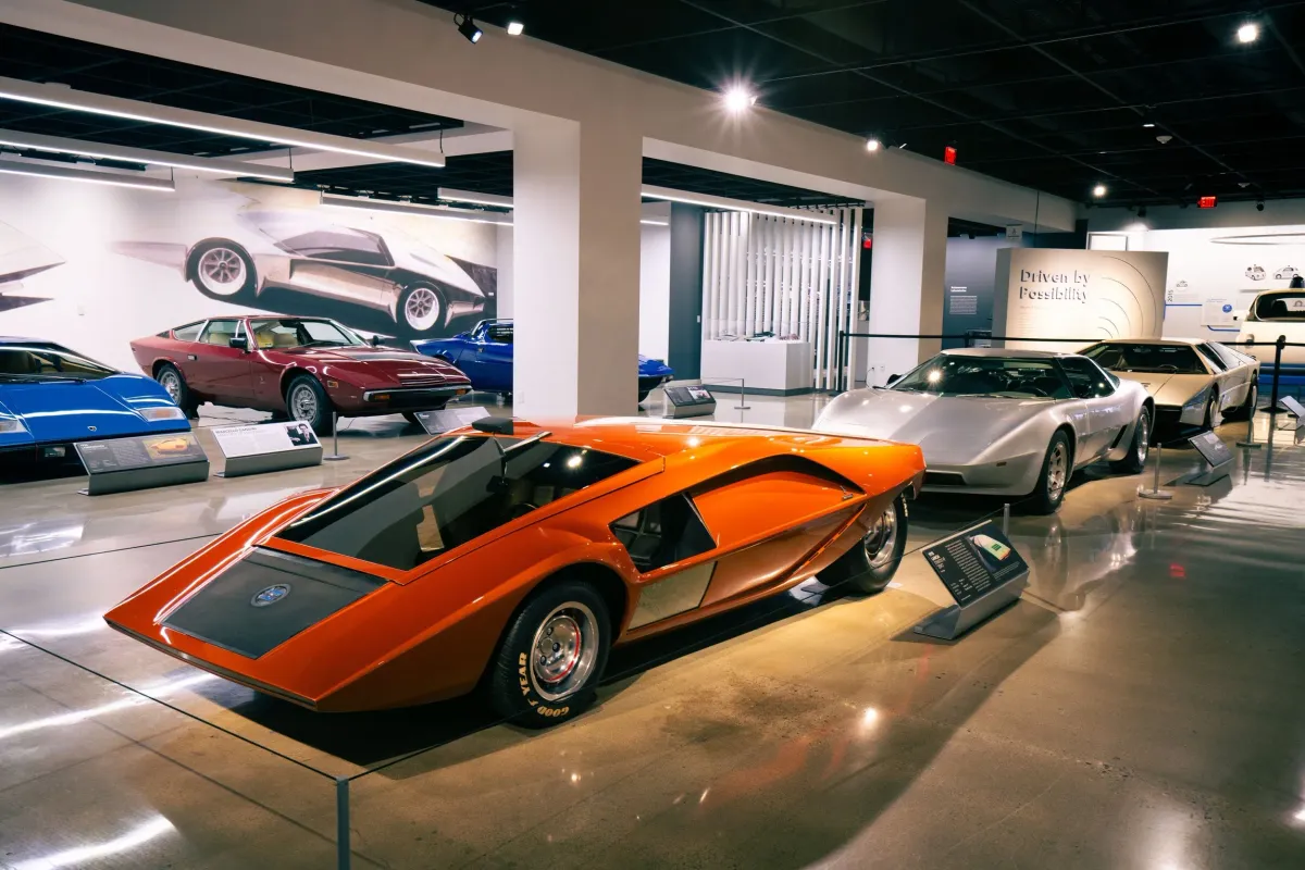 Photo of the exhibition The Wedge Revolution