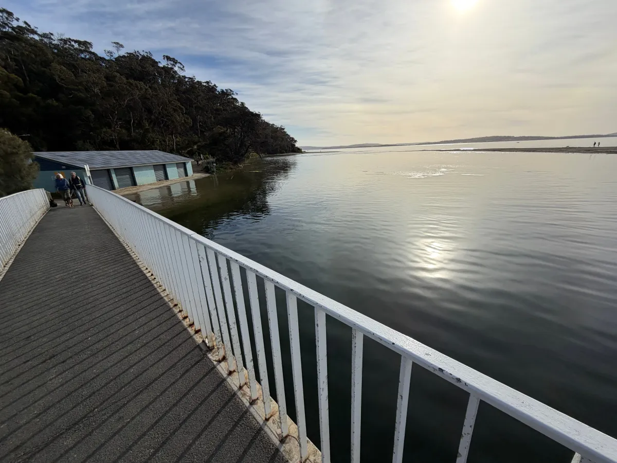 King tide