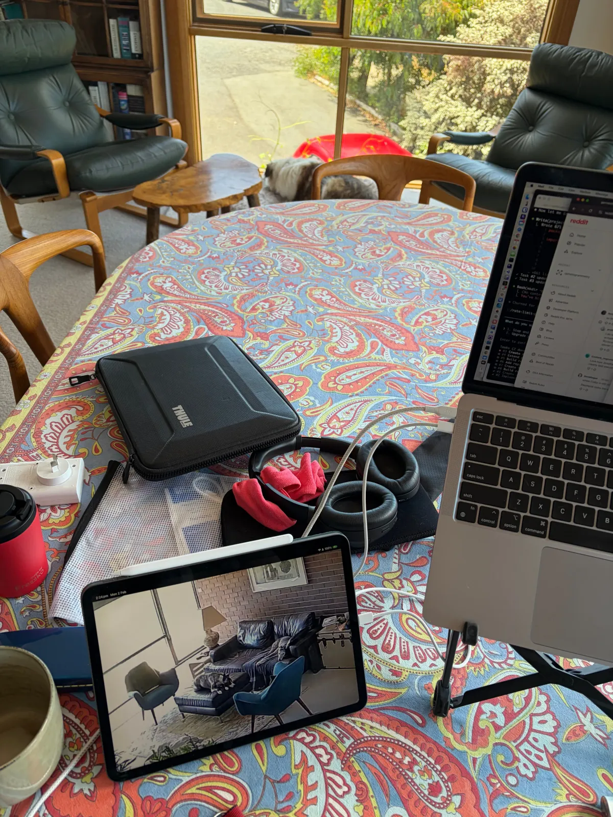 Dog monitoring while dog sitting
