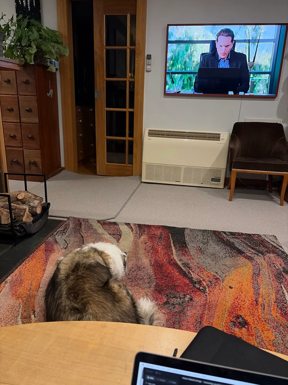 A dog watching tv