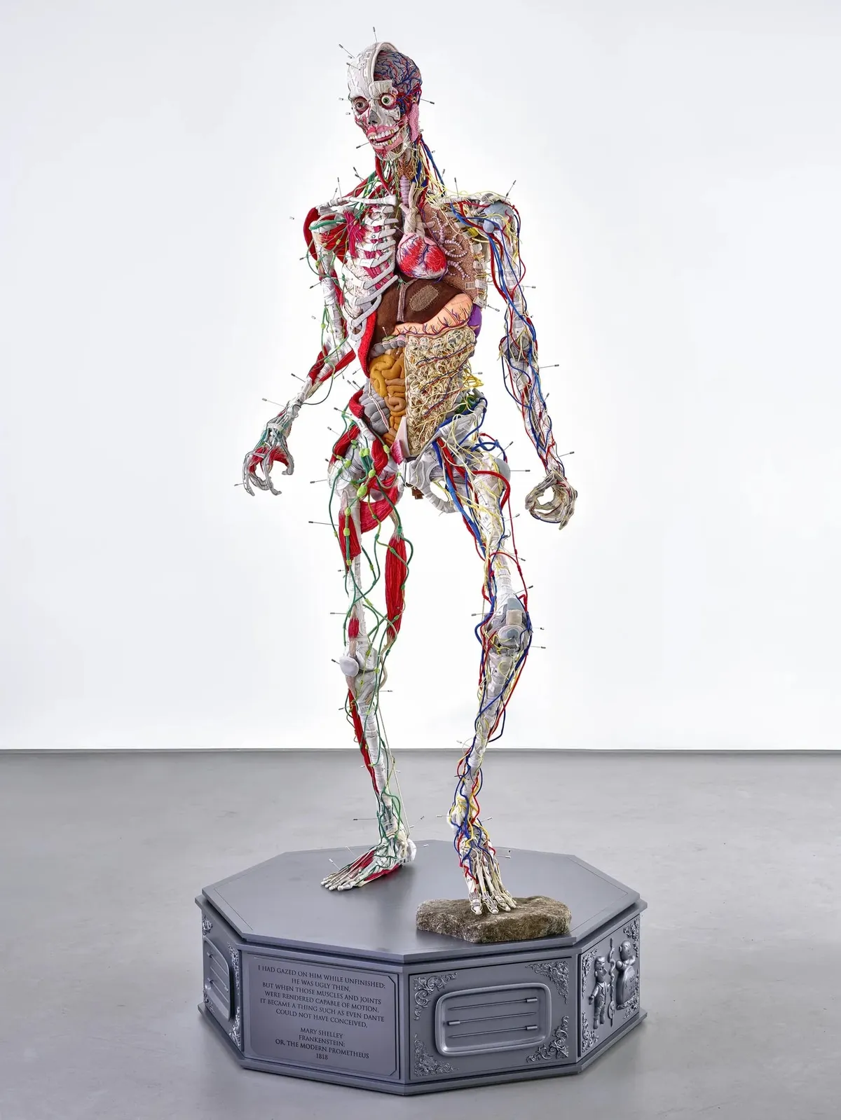 Bisected body sculpture