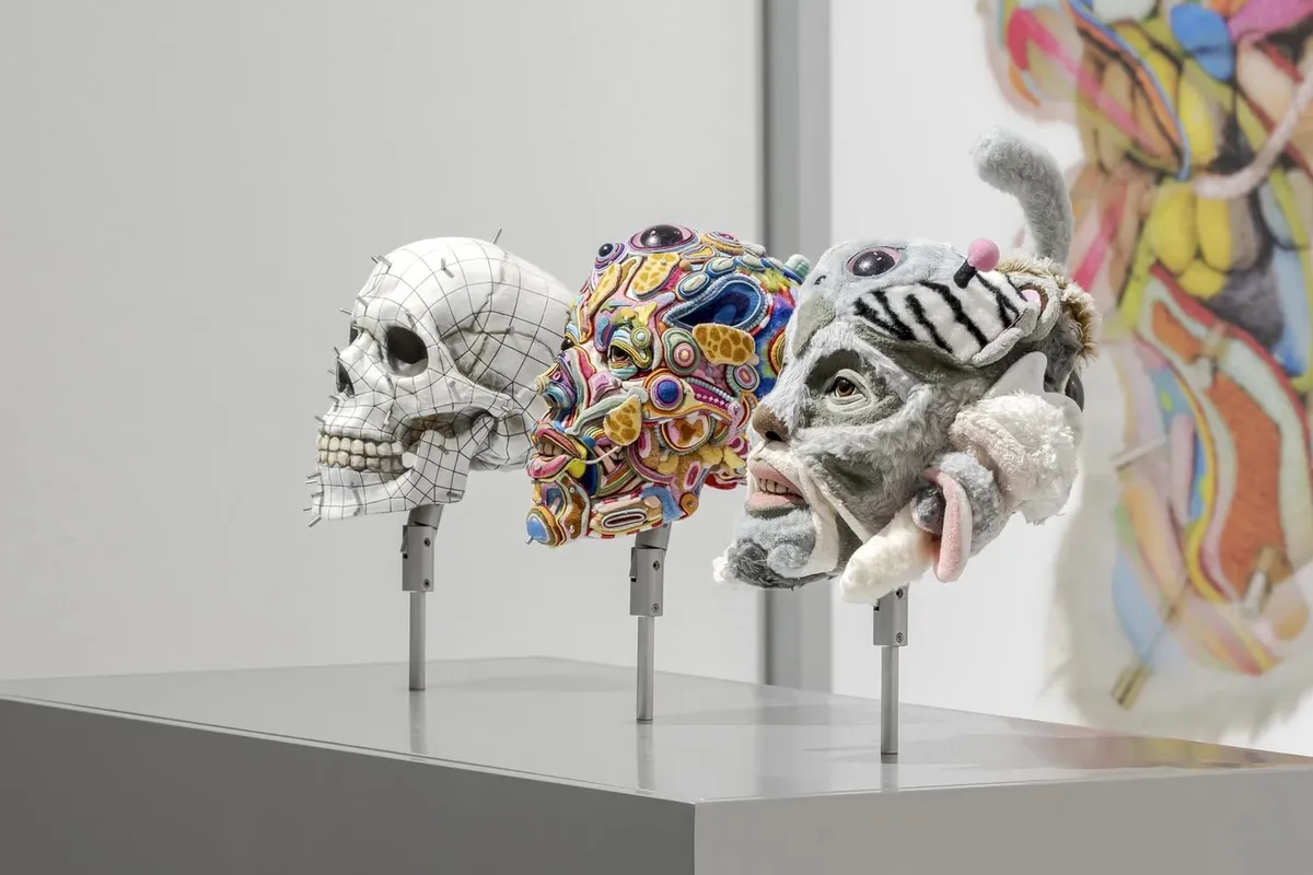 Skull to face