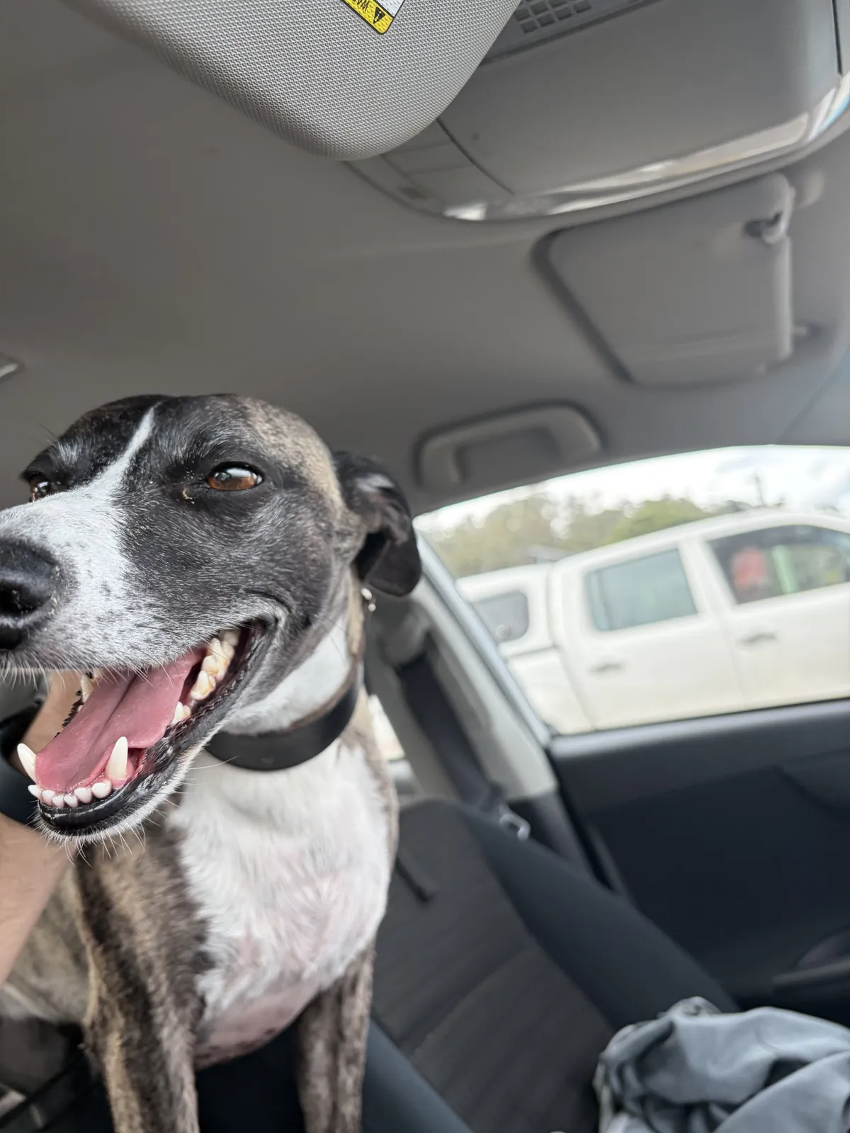 Happy girl